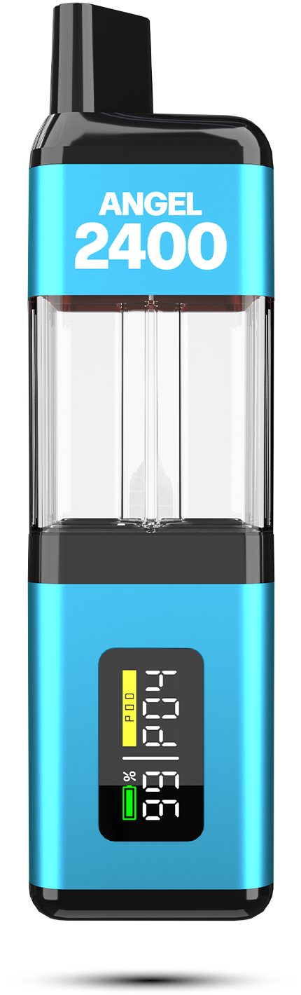 Angel-2400-blue-edition