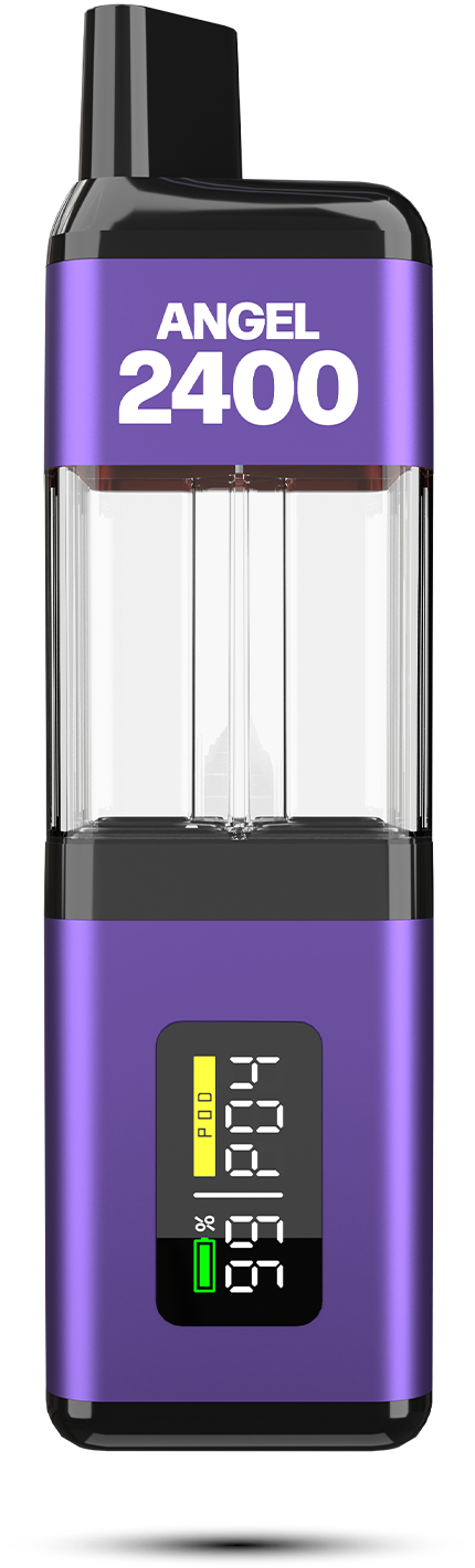 Angel-2400-purplle-edition