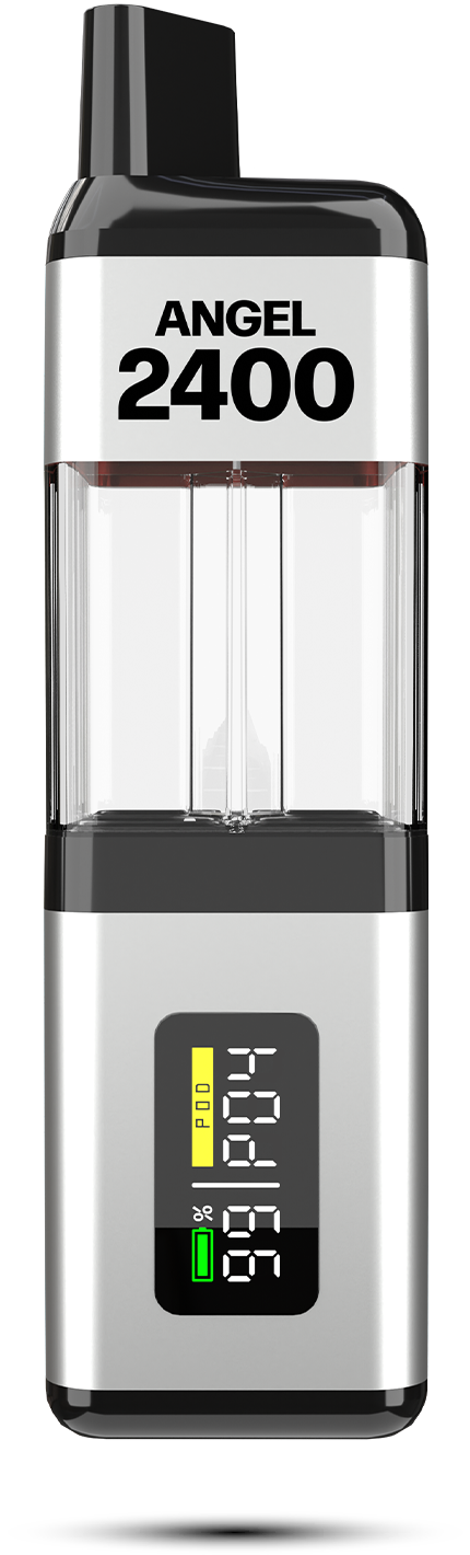 Angel-2400-silver-edition